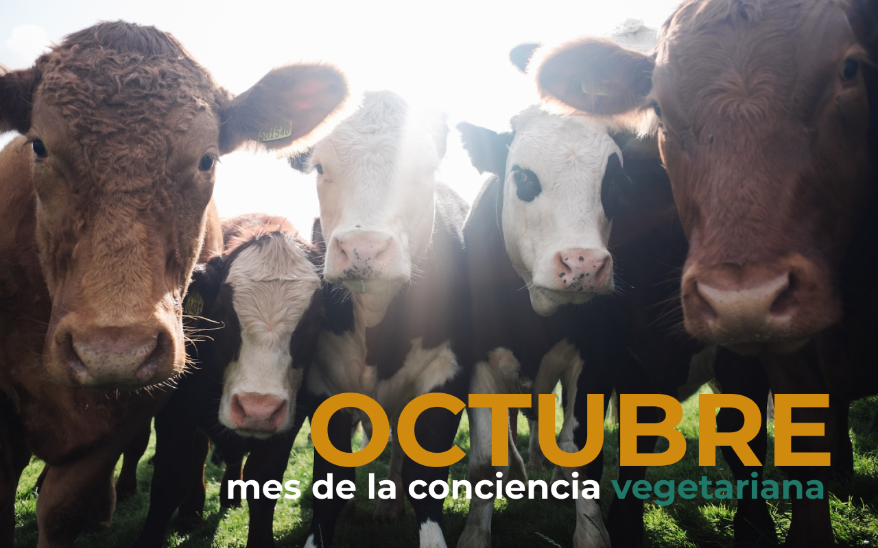 Octubre, mes de la conciencia vegetariana